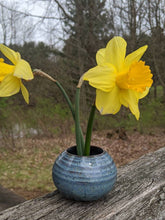 Load image into Gallery viewer, Flower Frog Ikebana Small Pin Frog Flower Vase
