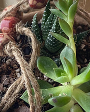 Load image into Gallery viewer, Hanging Pottery Planter - Handmade
