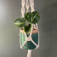 Load image into Gallery viewer, Macrame and ceramic hanging plant holder 
